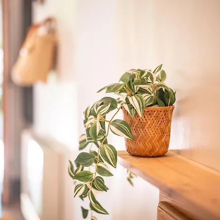 L'ecrin De * Bruniquel