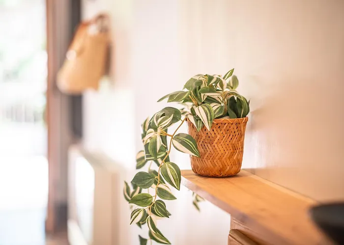 L'ecrin De * Bruniquel